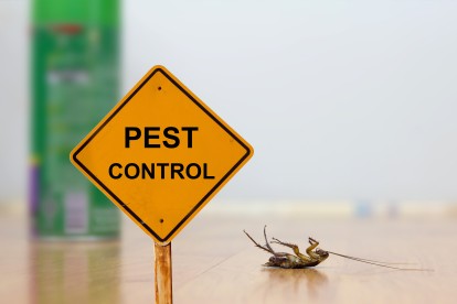 Pest Contol in Woolwich, SE18. Call Now 020 8166 9746